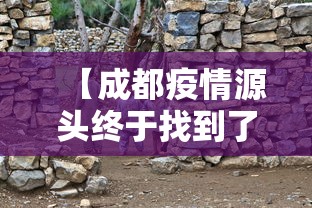 我来告诉你“大唐麻将打牌规律”详细辅助教程分享