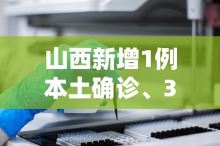 通关攻略 ＂微信功夫麻将买挂	”(原来确实是有插件)