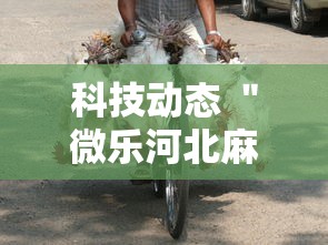 一键必胜“盼盼十三水到底要怎么用挂”(透视挂)详细用法教程