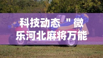 专用辅助“好友赣南麻将开挂方法”详细分享装挂步骤教程