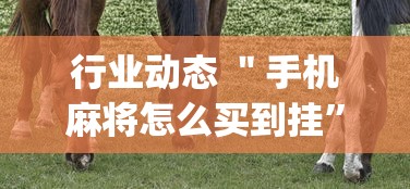 行业动态 ＂手机麻将怎么买到挂”开挂(透视)辅助神器