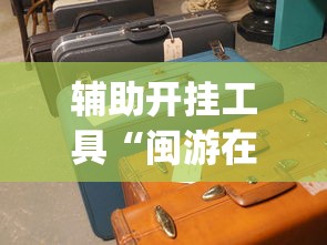 辅助开挂工具“闽游在线开挂辅助器”(太坑了果然有挂)
