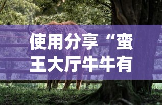 我来告诉你“新版荣耀可不可以用起手好牌挂”详细外挂安装步骤