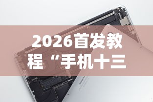 2026首发教程“手机十三张辅助器”-必赢神器安装
