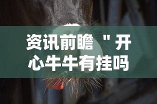 资讯前瞻 ＂开心牛牛有挂吗	”真的有挂