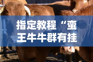 指定教程“蛮王牛牛群有挂吗”-开挂神器-包教包会