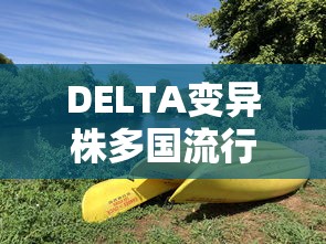 科普常识!微乐捉老麻子怎样免费开挂”开挂辅助教程