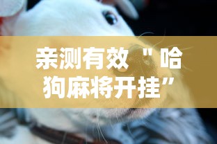 亲测有效 ＂哈狗麻将开挂	”真的有挂