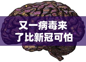 终于找到了 ＂奇迹陕西棋牌确实真的有挂”其实确实有挂