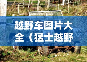 快速上手 ＂手机十三水输多了会赢吗”其实有开挂插件!