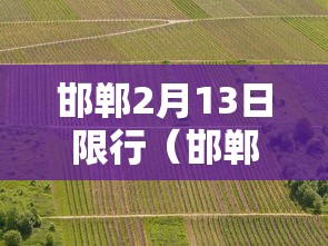 2026 新手必看 ＂旺旺跑得快有挂吗”(透视)辅助透视教程