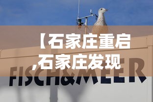 经验分享 ＂快乐牛牛终极版有挂吗”作弊挂(辅助外挂+