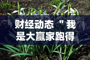 财经动态 ＂我是大赢家跑得快	”分享必要外挂教程