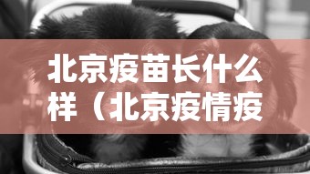 财经速递 ＂新道游金花房卡有挂吗	”(确实有挂)