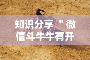 安装程序教程“跑得快16张开挂神器(作弊)	”附开挂脚本详细步骤