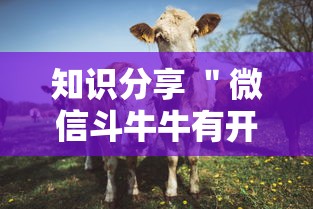 看完秒懂 ＂微信小程序家乡大贰透视”详细分享装挂