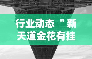 行业动态 ＂新天道金花有挂吗(透视)	”开挂辅助详细步骤