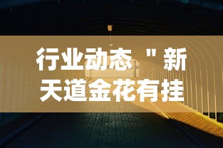 行业动态 ＂新天道金花有挂吗(透视)”开挂辅助详细步骤