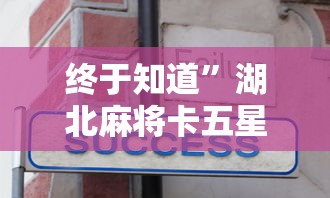 终于知道”湖北麻将卡五星规则方法技巧”-开挂神器-包教包会