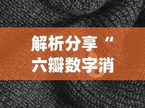 解析分享“六瓣数字消怎么装挂”(原来确实是有插件)