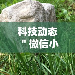 科技动态 ＂微信小程序微乐河南麻将外卦神”辅助神器插件下载
