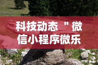 科技动态 ＂微信小程序微乐河南麻将外卦神”辅助神器插件下载