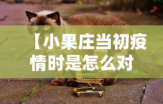 教程辅助“好友赣南麻将开挂软件”-原来有挂