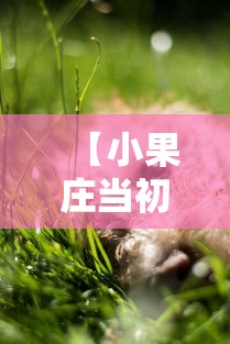 反复测试 ＂哈灵麻将外卦神器”科技辅助神器手机版教程