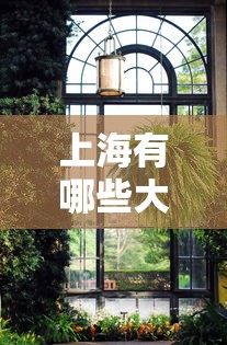 【技术分享】“手机麻将辅助作弊器挂”(详细透视教程)-