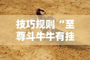 技巧规则“至尊斗牛牛有挂吗”开挂安装教程