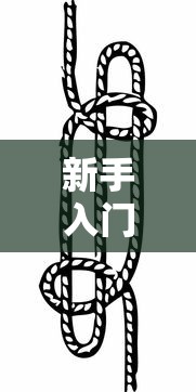 新手入门教程 ＂新人海有透视挂”详细分享装挂步骤教程