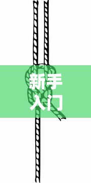 新手入门教程 ＂新人海有透视挂	”详细分享装挂步骤教程