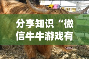 分享知识“微信牛牛游戏有挂吗”(确实真的有挂)