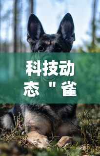 科技动态 ＂雀神麻将可以开挂么	”辅助挂下载