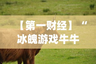【第一财经】“冰魄游戏牛牛有挂吗	”(确实是有挂)知乎