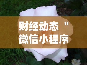 财经动态 ＂微信小程序雀神广东麻将有挂吗”(果然有透视挂)