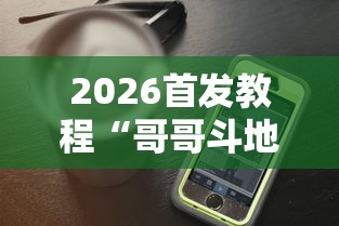 2026首发教程“哥哥斗地主透视”科技辅助神器手机